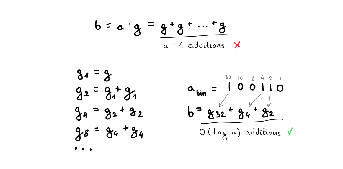 Calculating b = 38 * g using only 7 additions.